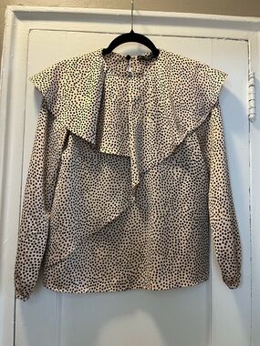 Zara Polka Dot Blouse